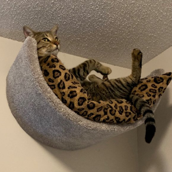 New Wall mounted cat bed - Picture 7 of 16
